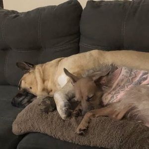 Meet your Posher, Sierra